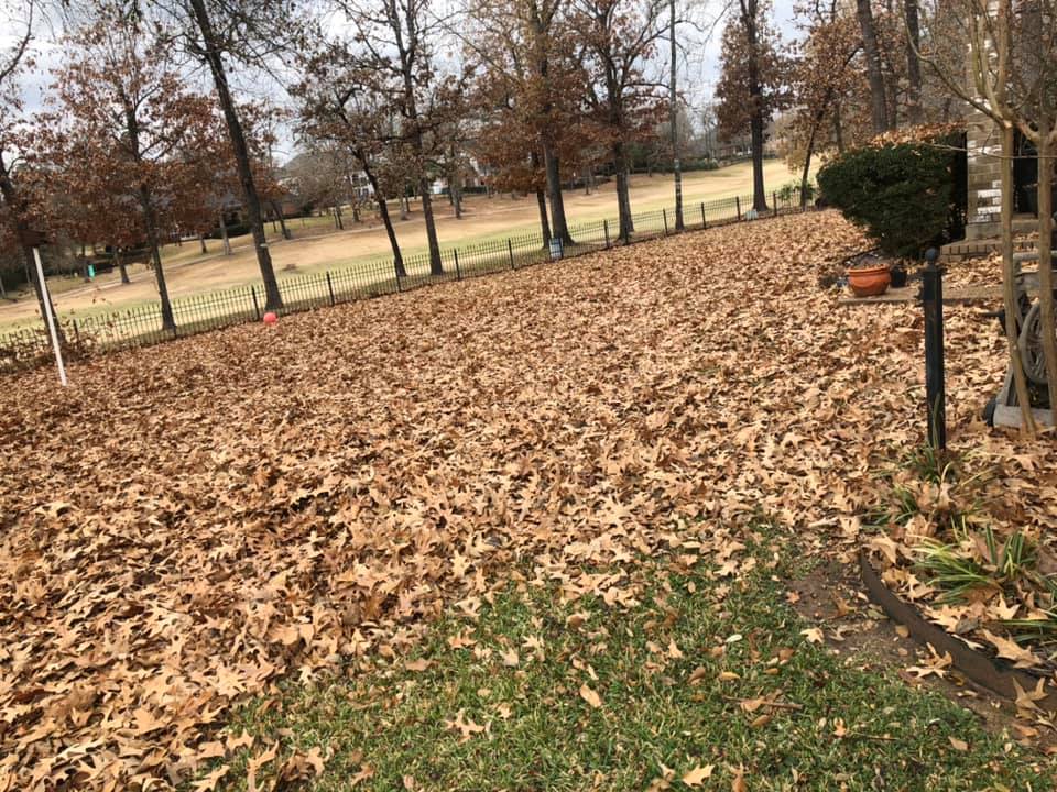 Leaf Removal Image