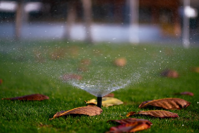 Sprinkler Image